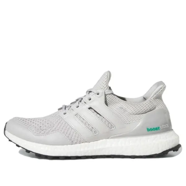 Adidas UltraBoost 1.0 Spikeless Golf Shoes 'Grey Court Green', gray